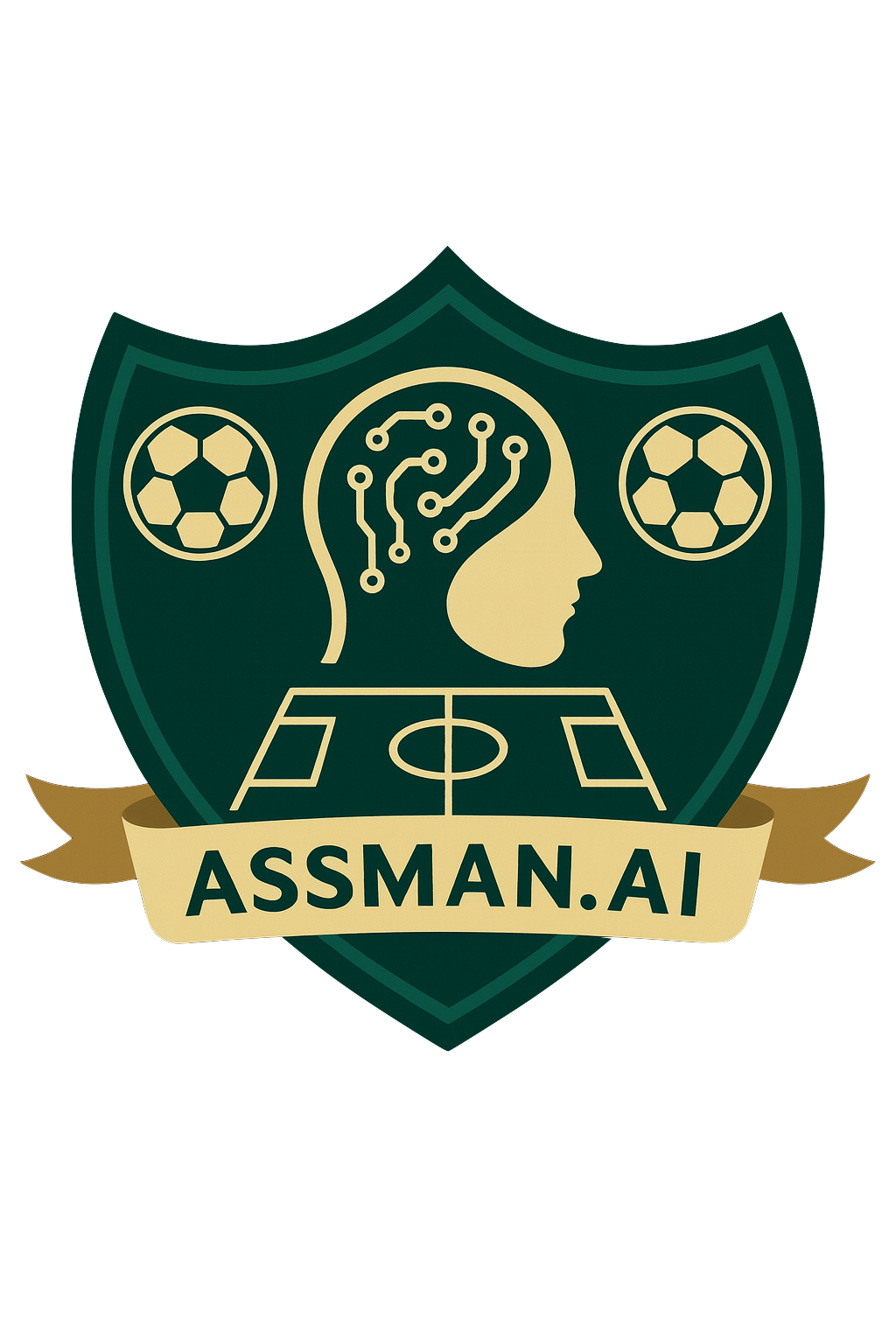 5-1-2-2 DM WB Asymmetric tactic